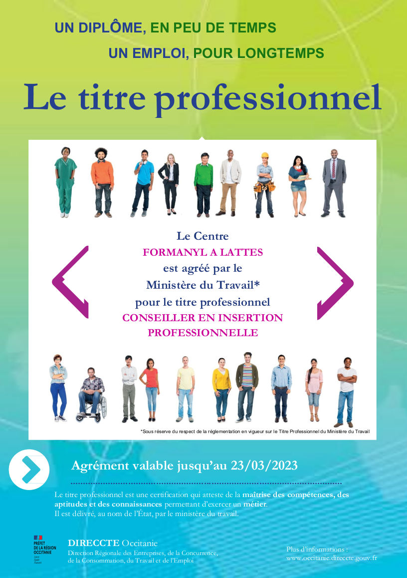 Conseiller En Insertion Professionnelle Cip Formanyl Conseiller En Insertion Professionnelle Cip Formanyl